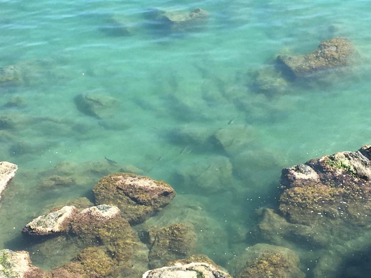La Casetta Di Dory Sul Mare 제노바 외부 사진